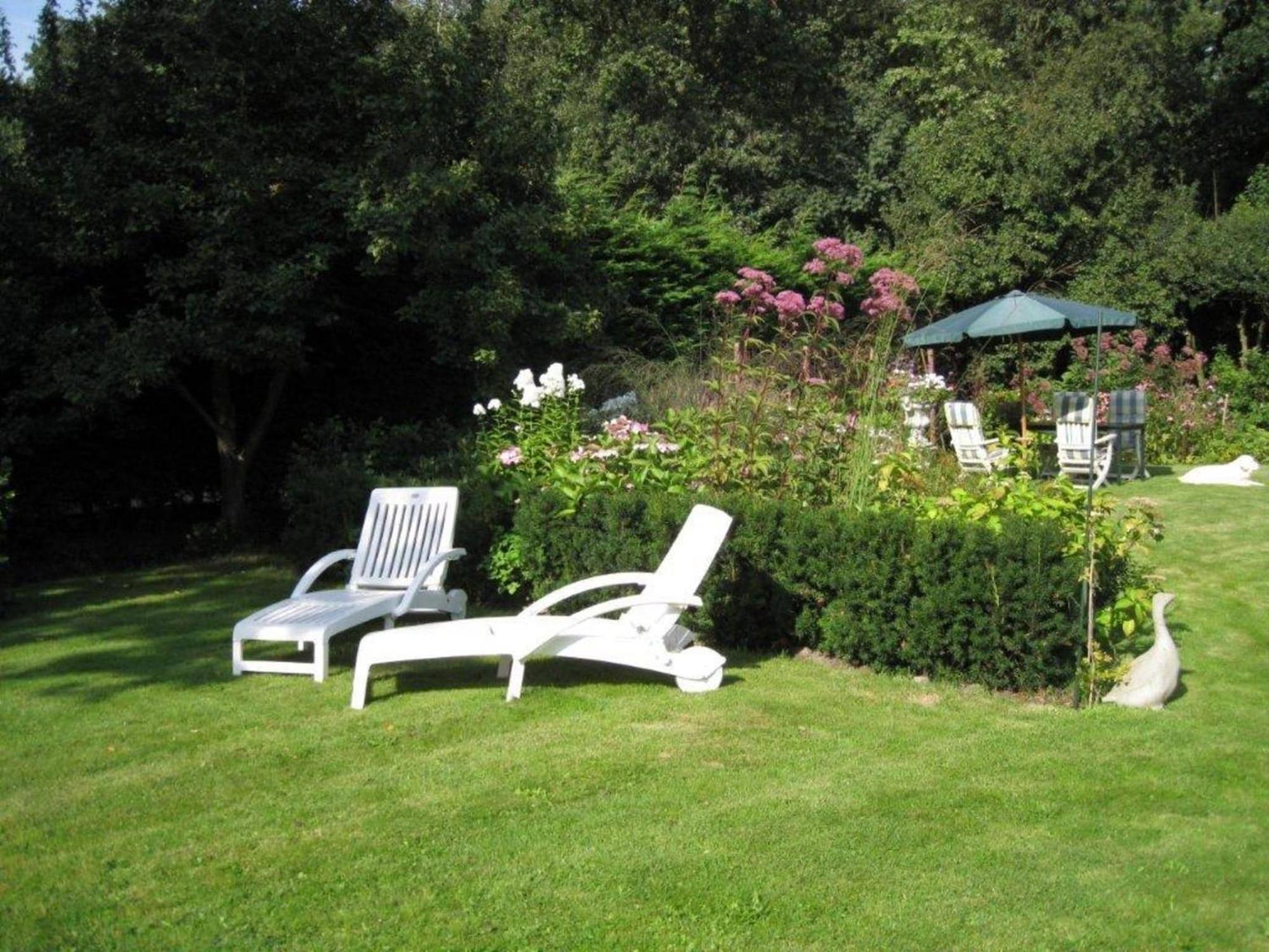 Pleasing Holiday Home In Schoorl With Patio المظهر الخارجي الصورة